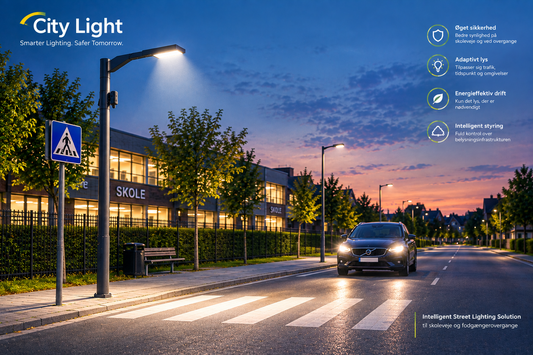 Intelligent Street Lighting Solution til skoleveje og fodgængerovergange – øget sikkerhed med adaptivt lys