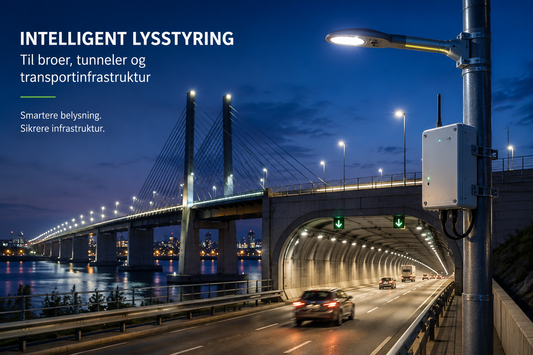 Smart Lysstyring til Broer, Tunneler og Infrastruktur