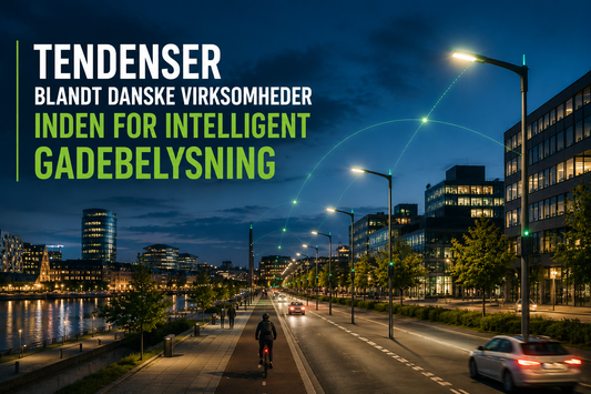 Tendenser blandt danske virksomheder inden for intelligent gadebelysning