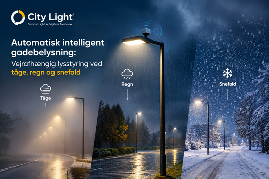 Smart Streetlights Through Every Season